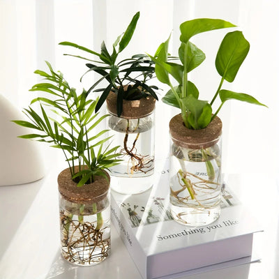 (New) Glass Hydroponic Propagation Vase